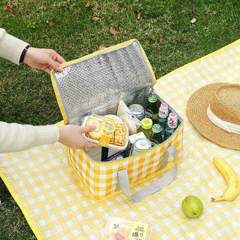 Large Capacity Insulated Picni - Food Storage Hiking ulasan dan harga