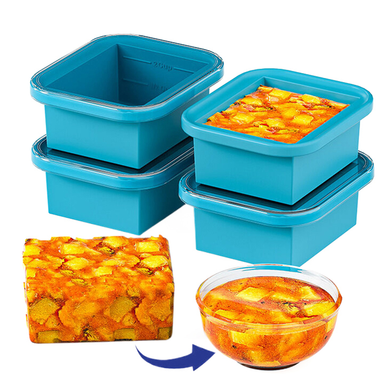 Silicone Freezing Tray With Pl - Food Storage Not Plastic ulasan dan harga