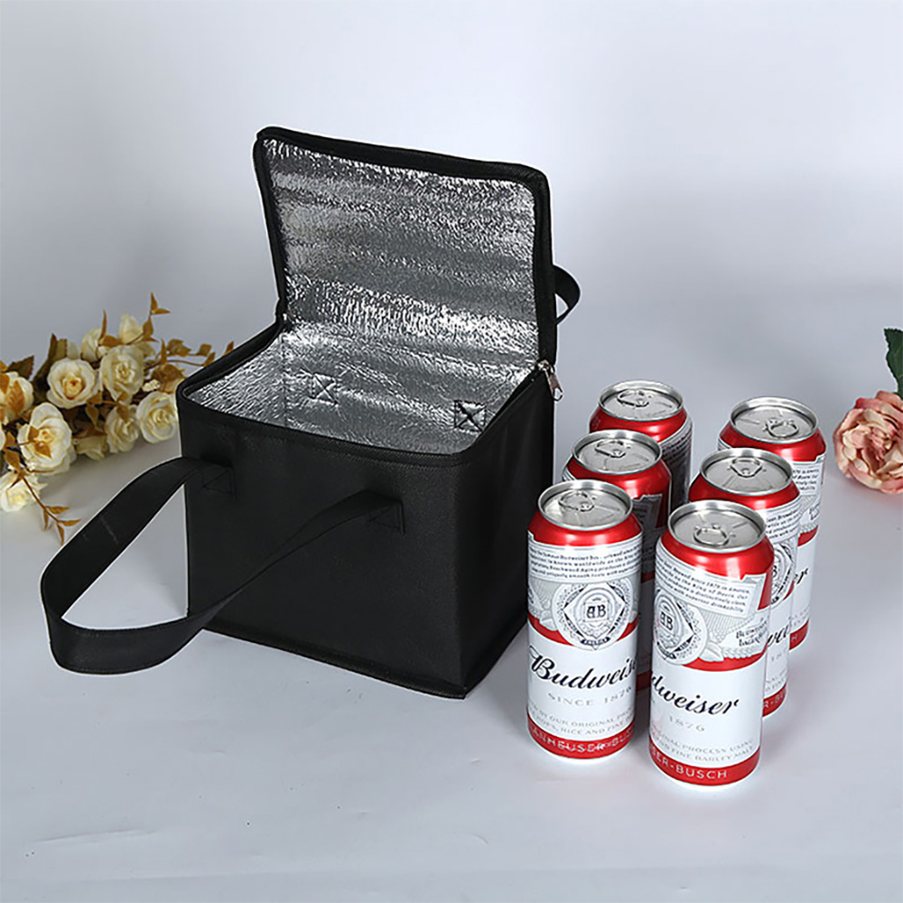 Portable Lunch Cooler Bag Fold - Food Storage Hiking ulasan dan harga